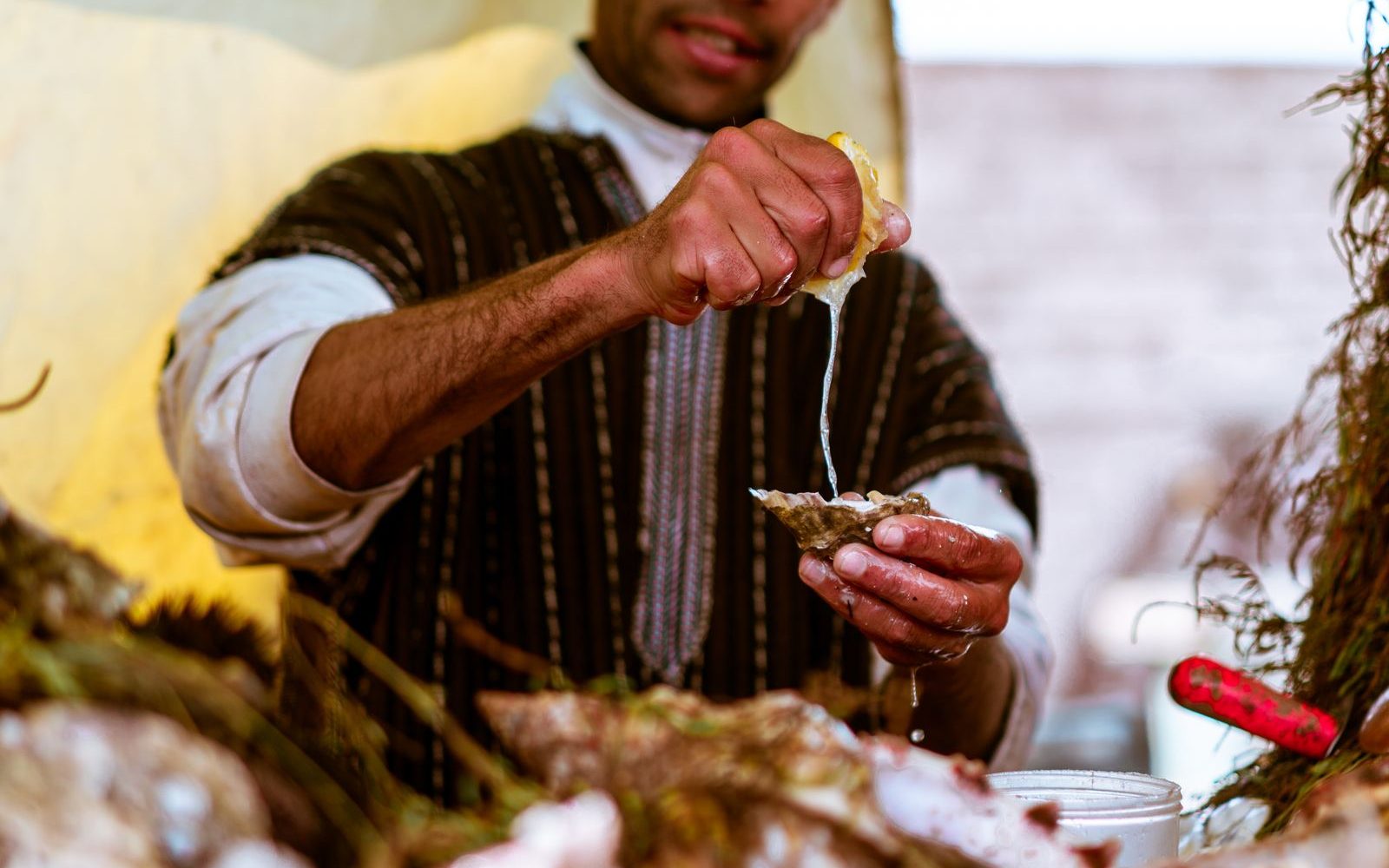 Taste of Fez