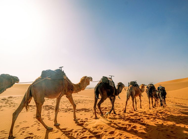 Sahara Express Merzouga photo 1