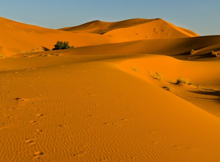 Sahara Express Merzouga photo 2