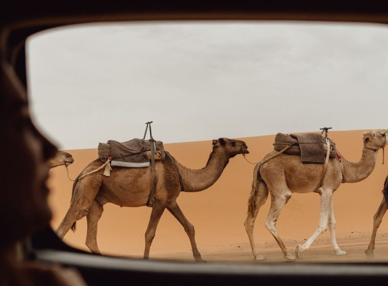 Sahara Express Merzouga photo 3