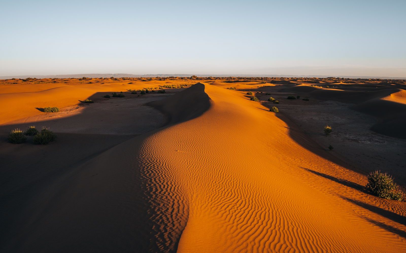Sahara Express Merzouga