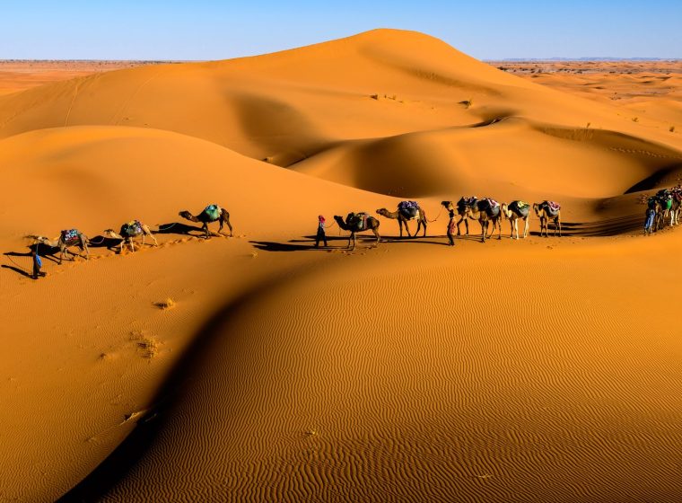 Grand Dunes Journey Erg Chebbi photo 2