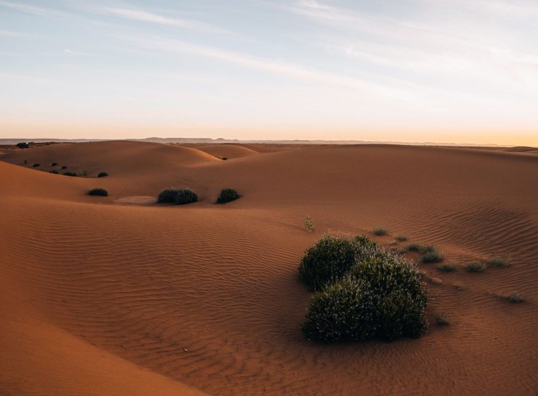 Deep Sahara Explorer photo 2