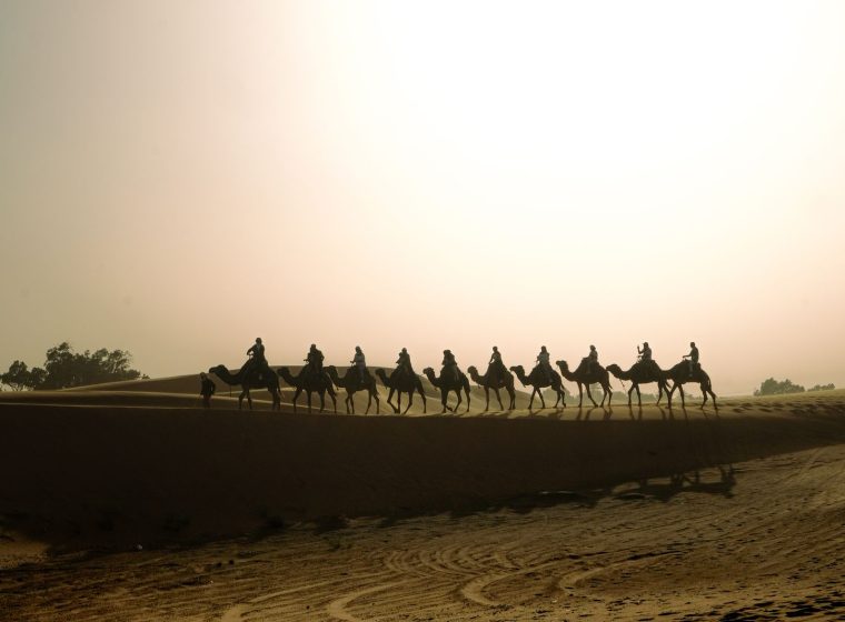 Deep Sahara Explorer photo 3